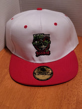 Load image into Gallery viewer, Snapback embroidered hats
